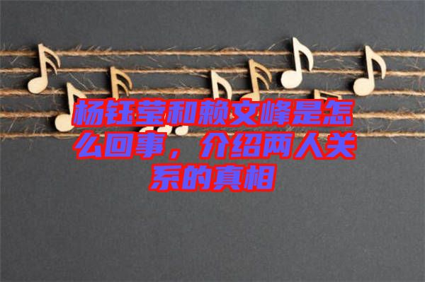 楊鈺瑩和賴文峰是怎么回事，介紹兩人關系的真相