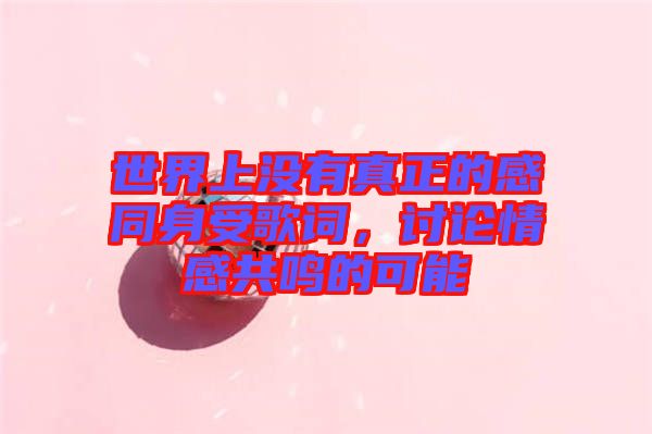 世界上沒有真正的感同身受歌詞，討論情感共鳴的可能