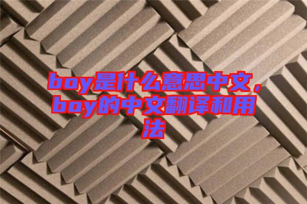 boy是什么意思中文，boy的中文翻譯和用法