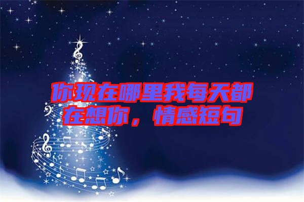 你現在哪里我每天都在想你，情感短句
