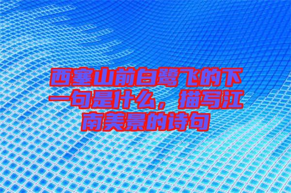 西塞山前白鷺飛的下一句是什么，描寫江南美景的詩句