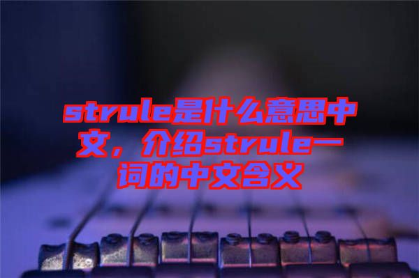 strule是什么意思中文，介紹strule一詞的中文含義