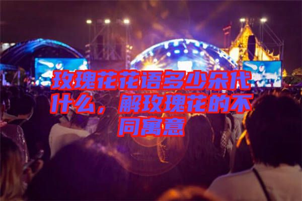 玫瑰花花語多少朵代什么，解玫瑰花的不同寓意