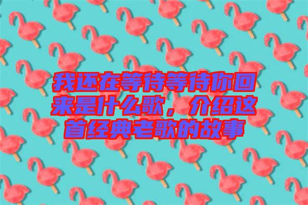 我還在等待等待你回來是什么歌，介紹這首經典老歌的故事