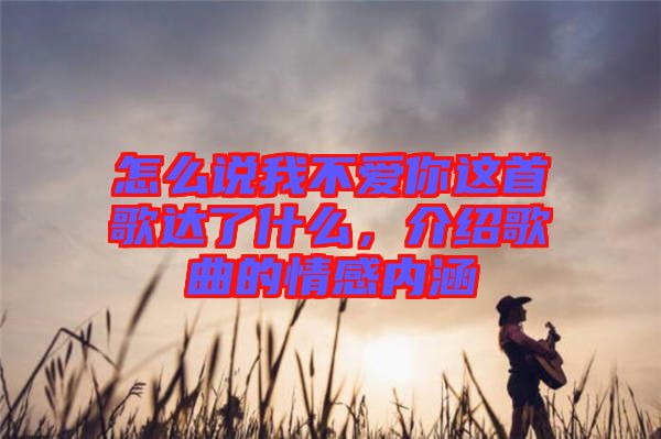怎么說我不愛你這首歌達了什么，介紹歌曲的情感內涵