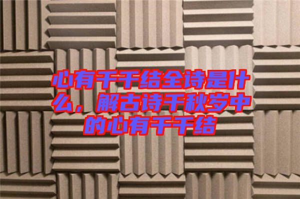 心有千千結(jié)全詩是什么，解古詩千秋歲中的心有千千結(jié)