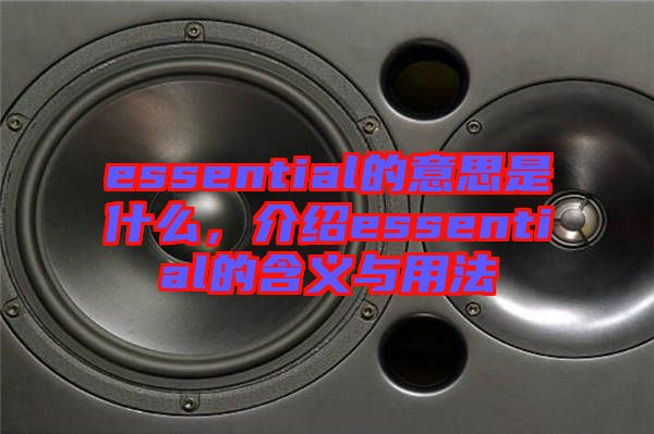 essential的意思是什么，介紹essential的含義與用法