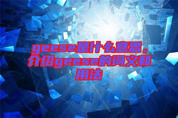 geese是什么意思，介紹geese的詞義和用法