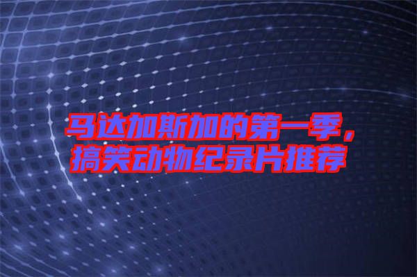 馬達加斯加的第一季，搞笑動物紀錄片推薦