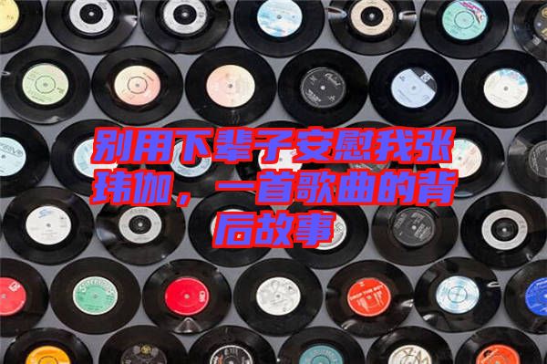 別用下輩子安慰我張瑋伽，一首歌曲的背后故事