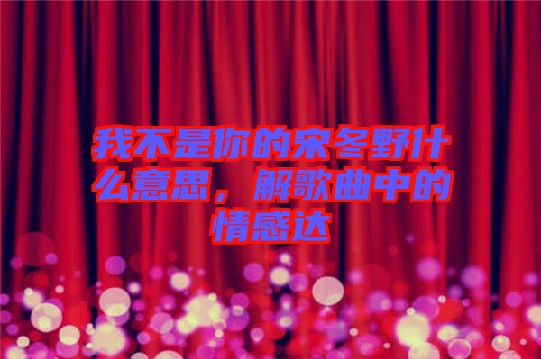 我不是你的宋冬野什么意思，解歌曲中的情感達