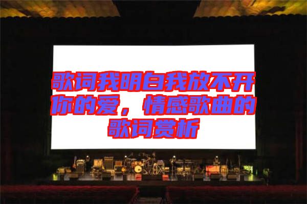 歌詞我明白我放不開你的愛，情感歌曲的歌詞賞析