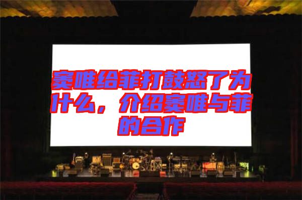 竇唯給菲打鼓怒了為什么，介紹竇唯與菲的合作