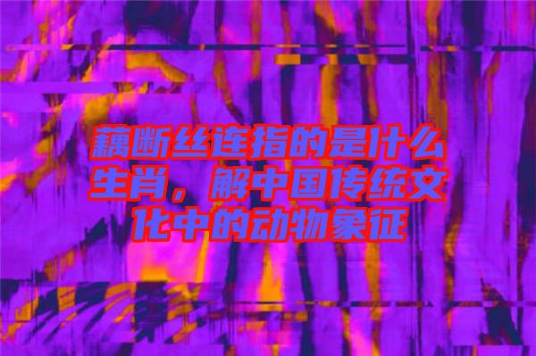藕斷絲連指的是什么生肖，解中國傳統文化中的動物象征