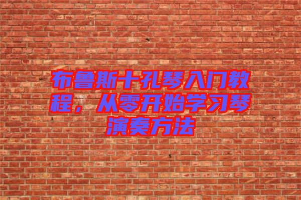 布魯斯十孔琴入門教程，從零開始學習琴演奏方法