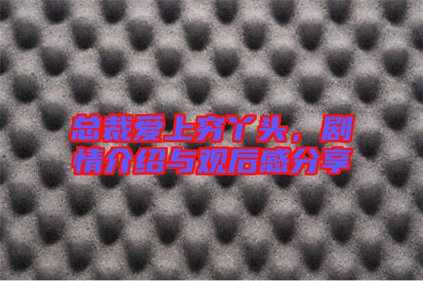 總裁愛上窮丫頭，劇情介紹與觀后感分享