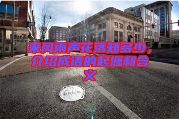 來(lái)風(fēng)雨聲花落知多少，介紹成語(yǔ)的起源和含義