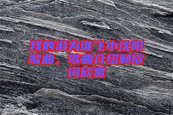 我的淚為誰飛小沈陽歌曲，歌曲介紹和歌詞欣賞