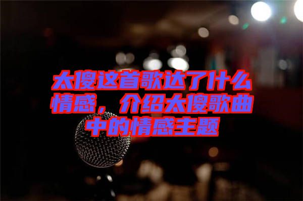 太傻這首歌達了什么情感，介紹太傻歌曲中的情感主題