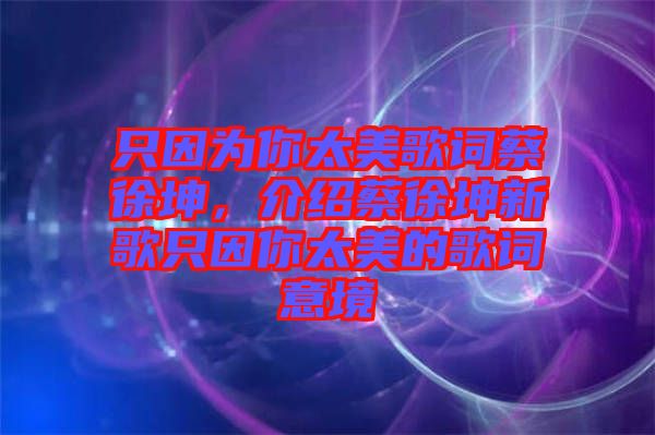 只因為你太美歌詞蔡徐坤，介紹蔡徐坤新歌只因你太美的歌詞意境