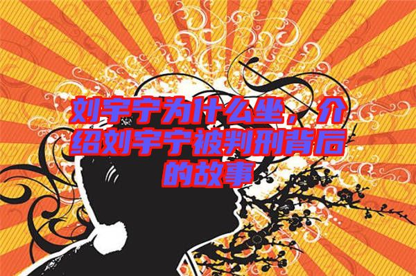 劉宇寧為什么坐，介紹劉宇寧被判刑背后的故事