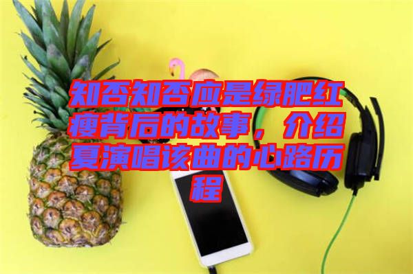 知否知否應是綠肥紅瘦背后的故事，介紹夏演唱該曲的心路歷程