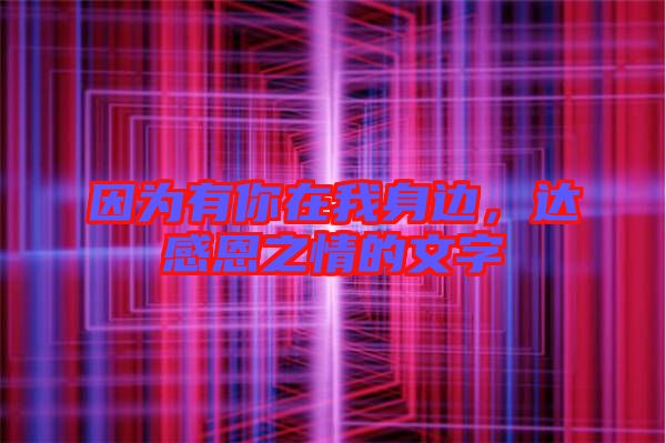 因為有你在我身邊，達感恩之情的文字