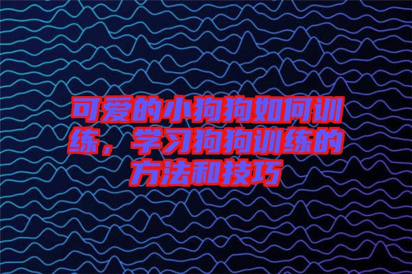 可愛的小狗狗如何訓練，學習狗狗訓練的方法和技巧