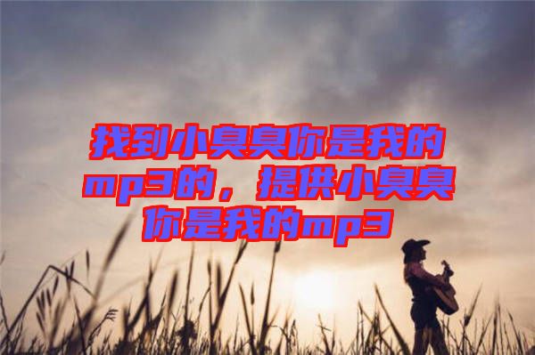 找到小臭臭你是我的mp3的，提供小臭臭你是我的mp3