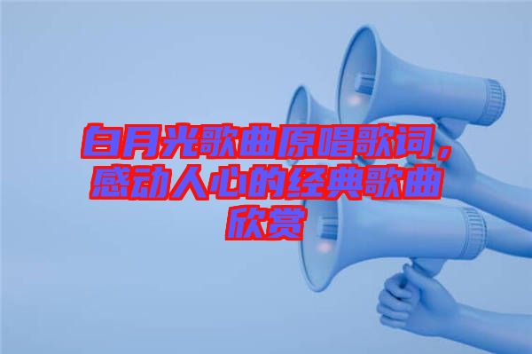 白月光歌曲原唱歌詞，感動人心的經典歌曲欣賞
