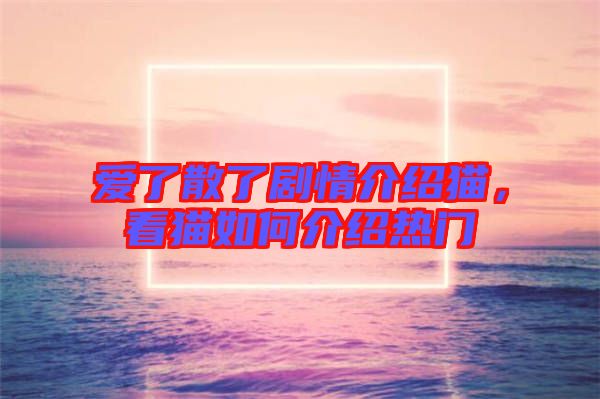 愛了散了劇情介紹貓，看貓如何介紹熱門