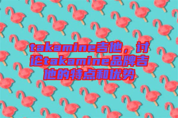 takamine吉他，討論takamine品牌吉他的特點和優勢