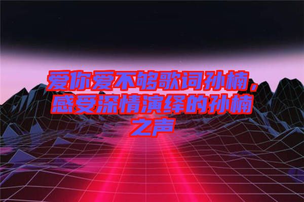 愛你愛不夠歌詞孫楠，感受深情演繹的孫楠之聲