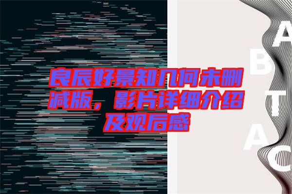 良辰好景知幾何未刪減版，影片詳細介紹及觀后感