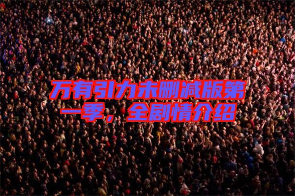 萬有引力未刪減版第一季，全劇情介紹