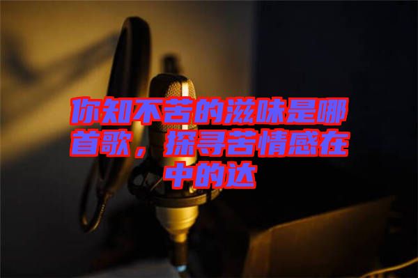 你知不苦的滋味是哪首歌，探尋苦情感在中的達
