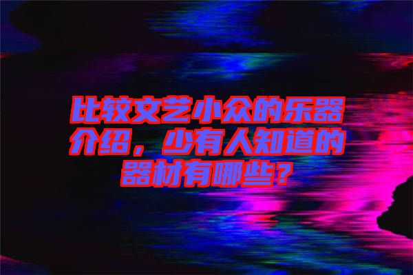 比較文藝小眾的樂(lè)器介紹，少有人知道的器材有哪些？
