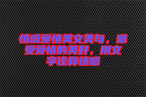 情感愛情美文美句，感受愛情的美好，用文字詮釋情感