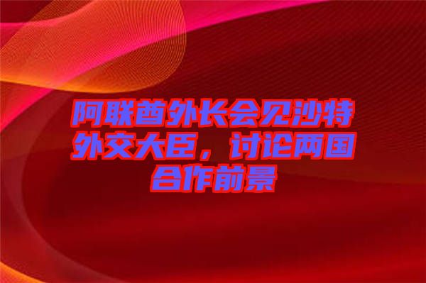 阿聯酋外長會見沙特外交大臣，討論兩國合作前景