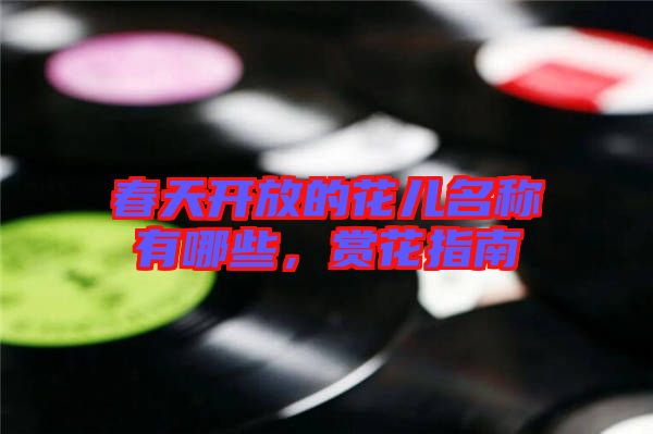 春天開放的花兒名稱有哪些，賞花指南
