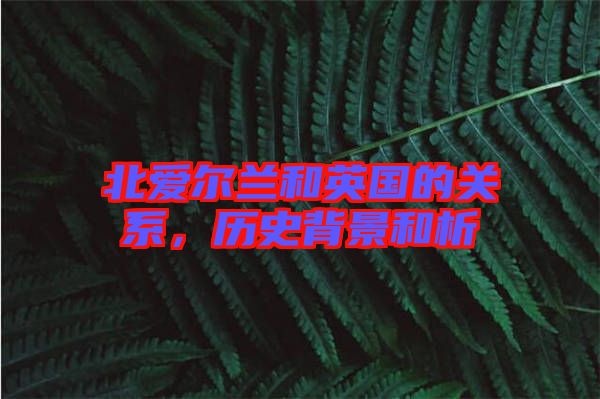 北愛爾蘭和英國的關(guān)系，歷史背景和析