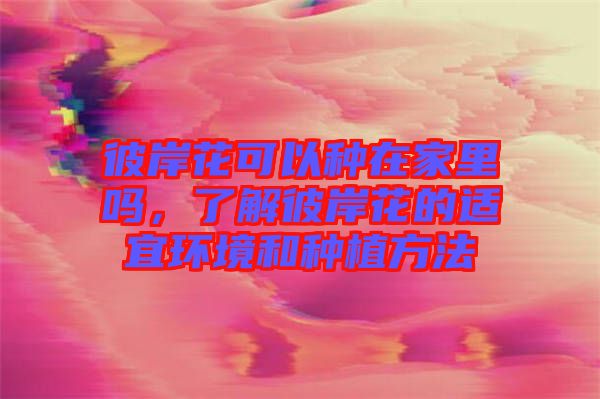 彼岸花可以種在家里嗎，了解彼岸花的適宜環境和種植方法