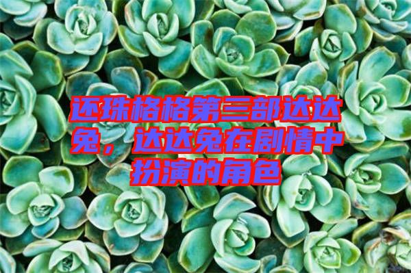 還珠格格第三部達達兔，達達兔在劇情中扮演的角色