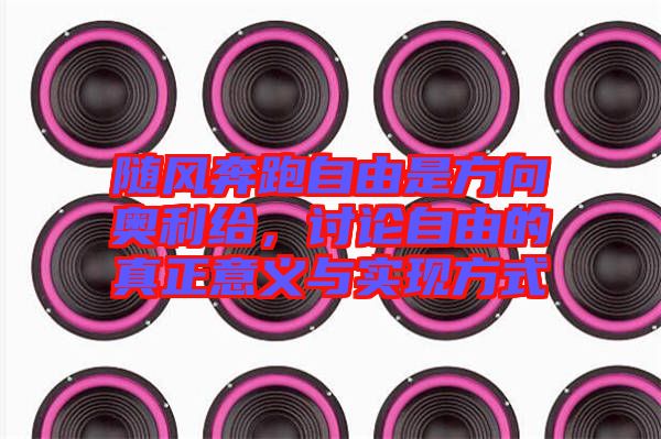隨風奔跑自由是方向奧利給，討論自由的真正意義與實現方式