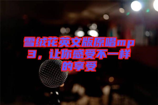 雪絨花英文版原唱mp3，讓你感受不一樣的享受
