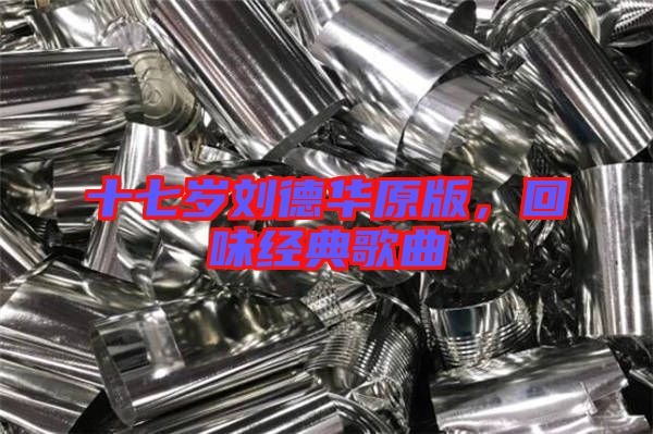 十七歲劉德華原版，回味經典歌曲