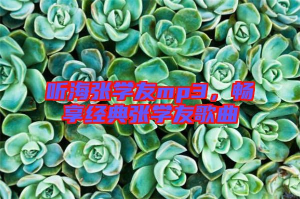 聽海張學友mp3，暢享經(jīng)典張學友歌曲