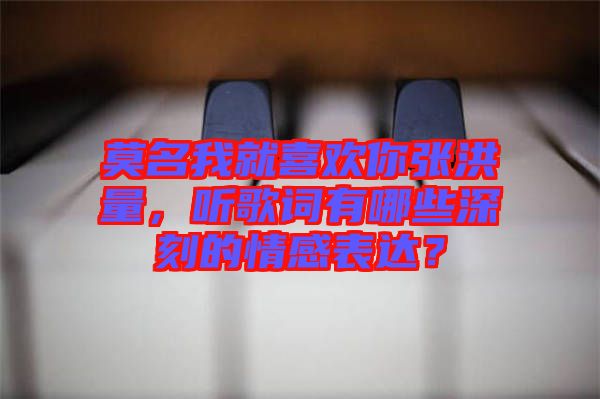 莫名我就喜歡你張洪量，聽歌詞有哪些深刻的情感表達？