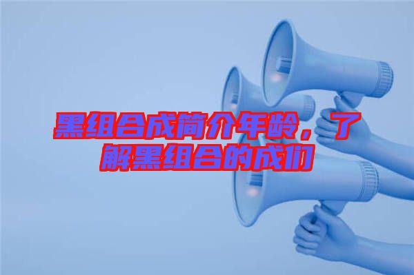 黑組合成簡介年齡，了解黑組合的成們