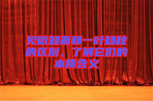 見微知著和一葉知秋的區別，了解它們的本質含義